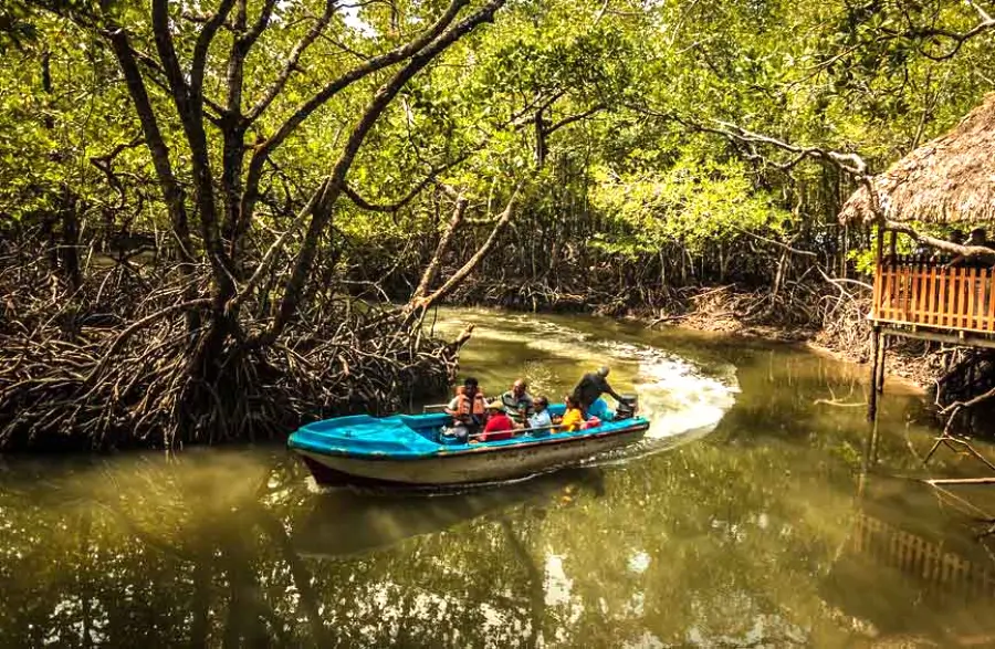 Andaman Package with baratang